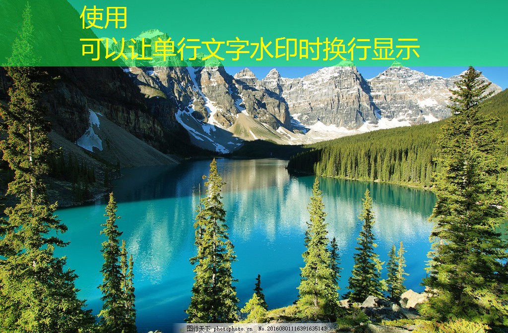 不同類(lèi)型停車(chē)道閘的比較分析