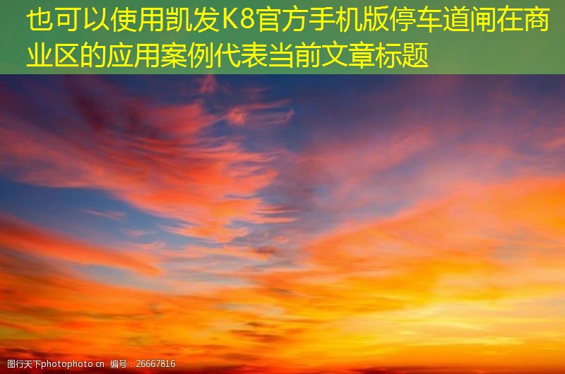 停車(chē)道閘在商業(yè)區(qū)的應(yīng)用案例
