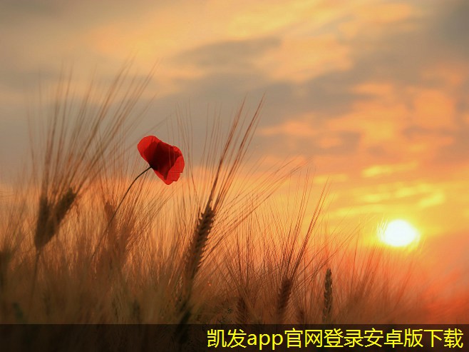 停車(chē)道閘對(duì)于城市交通的影響