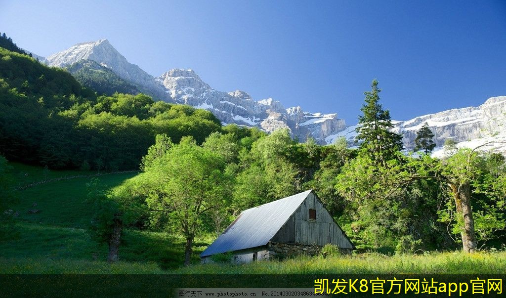 停車道閘對(duì)城市交通的影響