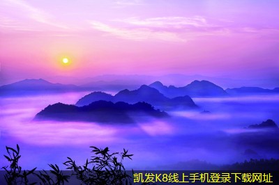 停車道閘對(duì)城市交通的影響