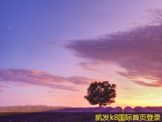 停車道閘對(duì)物業(yè)管理的支持作用