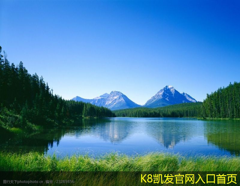 停車(chē)道閘的市場(chǎng)調(diào)研報(bào)告