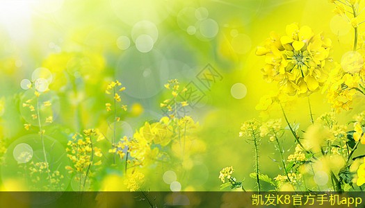 利用集團(tuán)電話實現(xiàn)團(tuán)隊協(xié)作新模式
