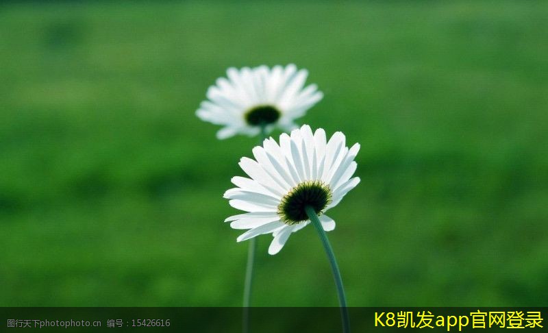 可視對(duì)講的多媒體功能介紹