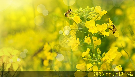 可視對(duì)講在商務(wù)會(huì)議中的有效應(yīng)用