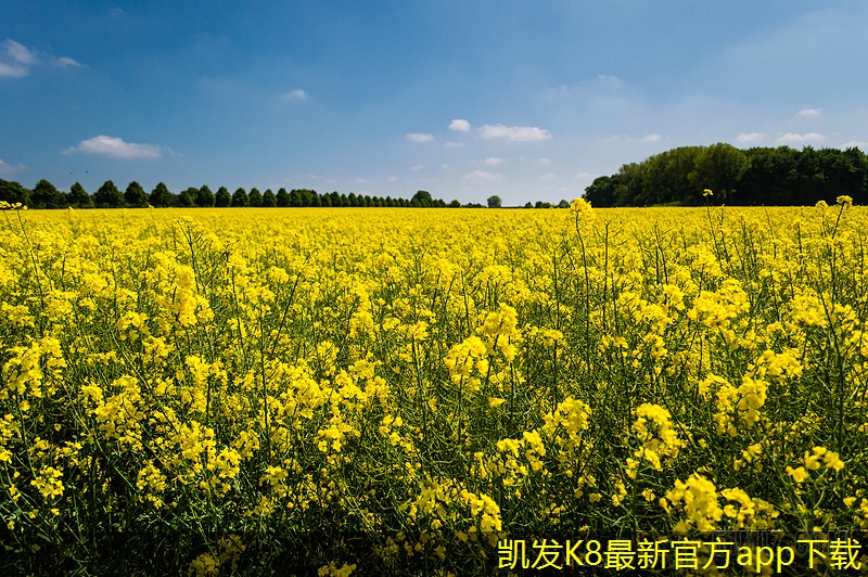 可視對講的市場競爭格局分析