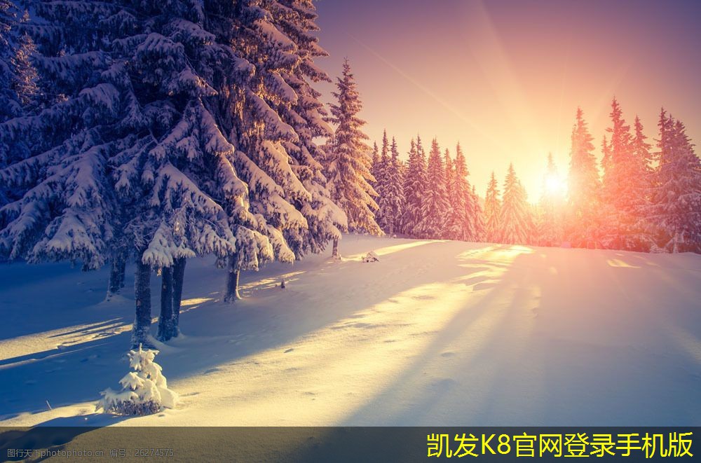 各種紅外報(bào)警器的對比分析