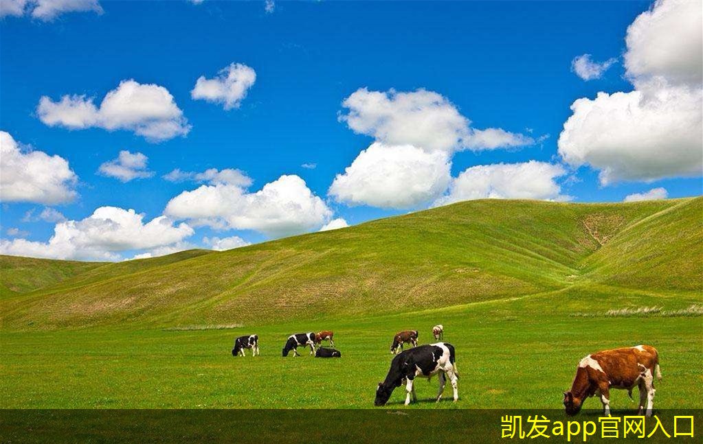 在視頻會(huì)議中保持注意力的技巧