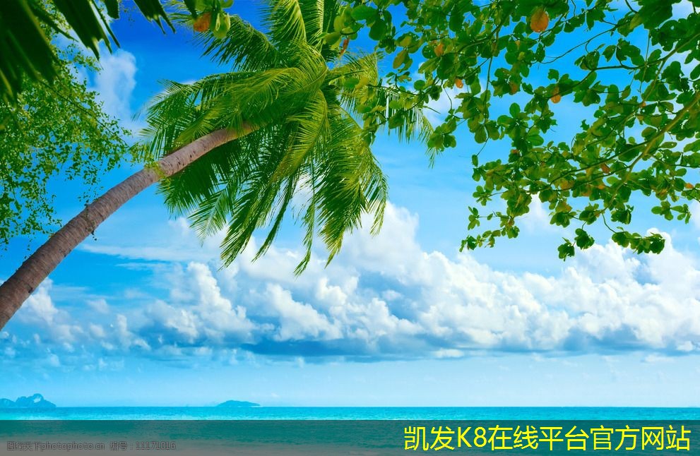 在視頻會(huì)議中創(chuàng)建有效的議程