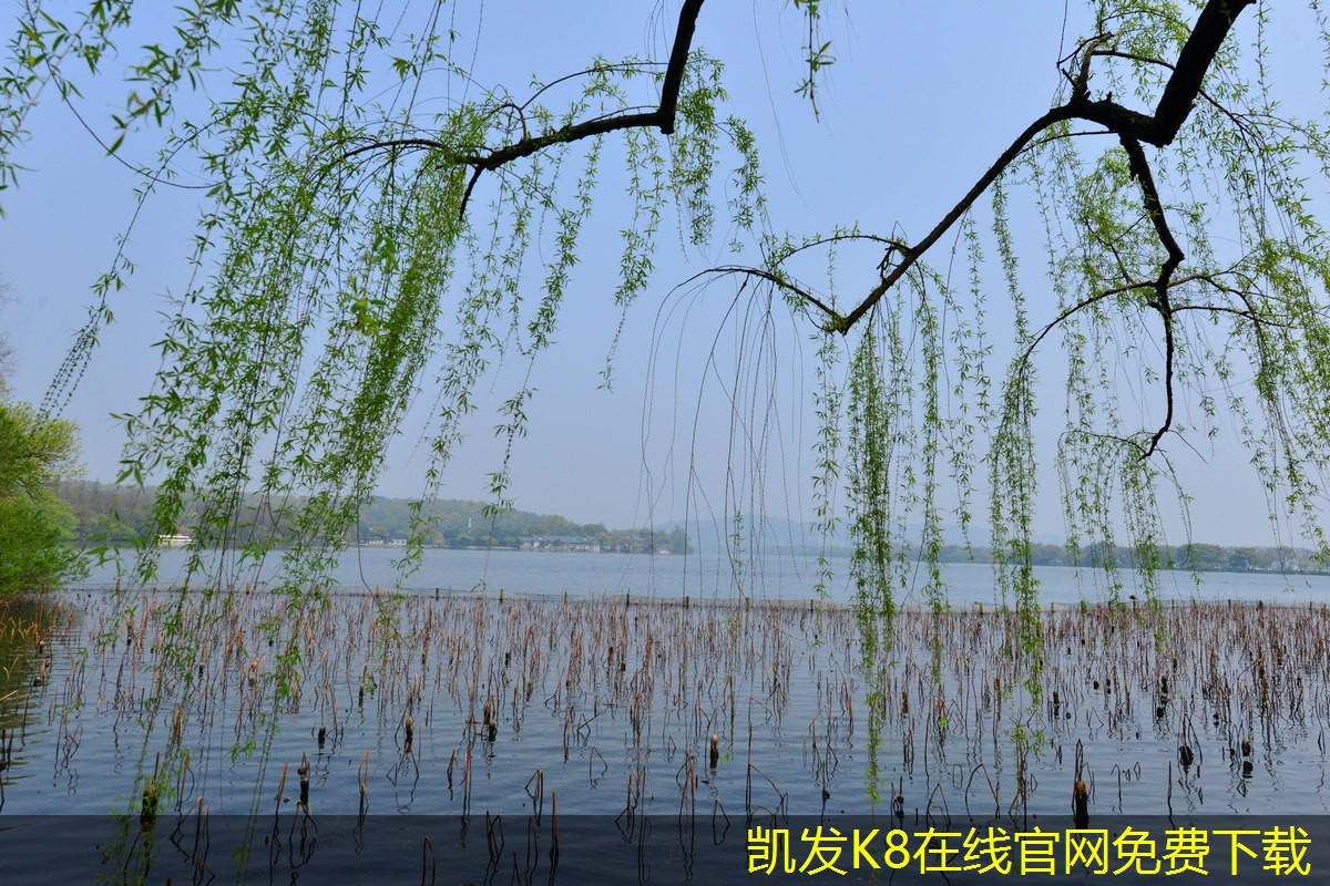 如何創(chuàng)建專屬的背景音樂(lè)播放列表