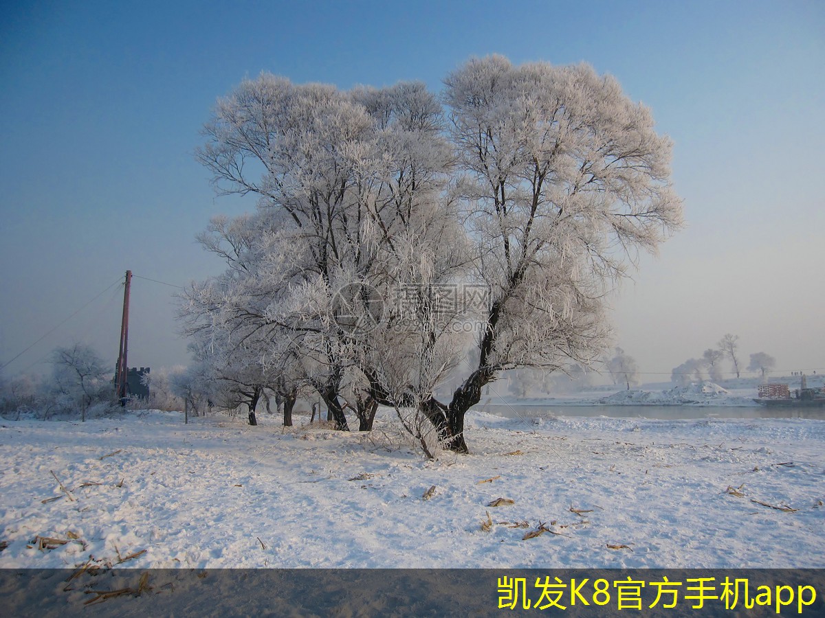 如何利用背景音樂營(yíng)造家庭聚會(huì)的氛圍