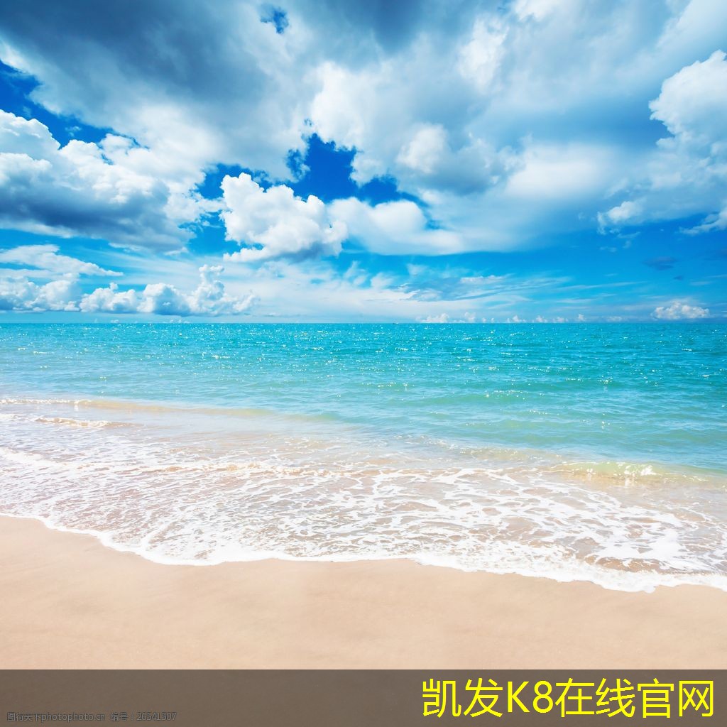 如何利用視頻會(huì)議進(jìn)行市場(chǎng)調(diào)研