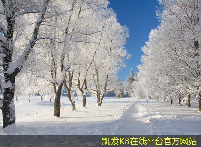 如何利用門禁考勤提升團(tuán)隊(duì)協(xié)作