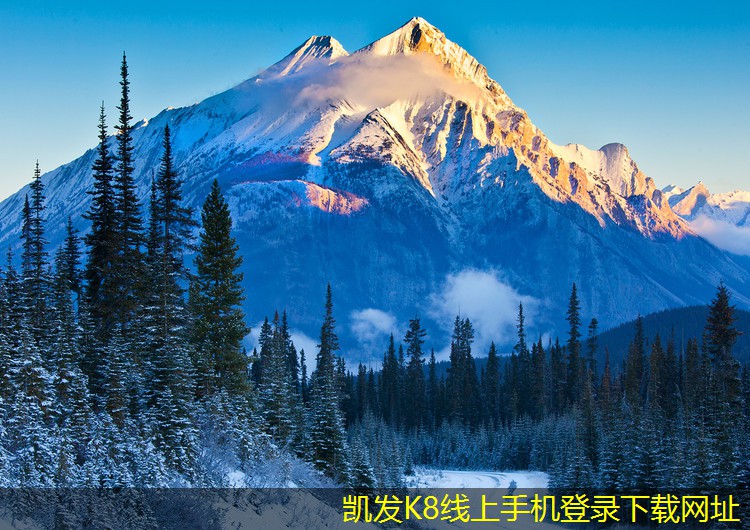 如何利用門(mén)禁考勤系統(tǒng)改善團(tuán)隊(duì)協(xié)作