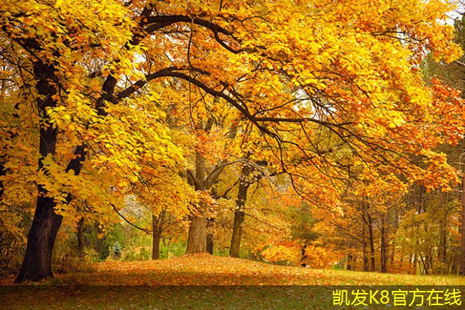 如何增強(qiáng)紅外報警的防護(hù)效果