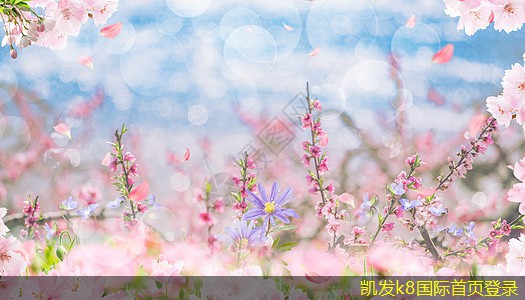 如何實現(xiàn)紅外報警與手機聯(lián)動
