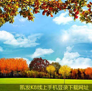 如何有效管理安防監(jiān)控?cái)?shù)據(jù)