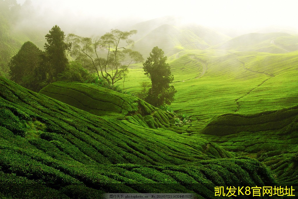 如何有效管理安防監(jiān)控?cái)?shù)據(jù)