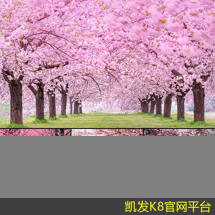 如何設(shè)計(jì)符合需求的網(wǎng)絡(luò)布線架構(gòu)
