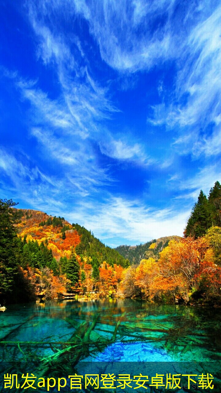 如何評(píng)估紅外報(bào)警系統(tǒng)的可靠性