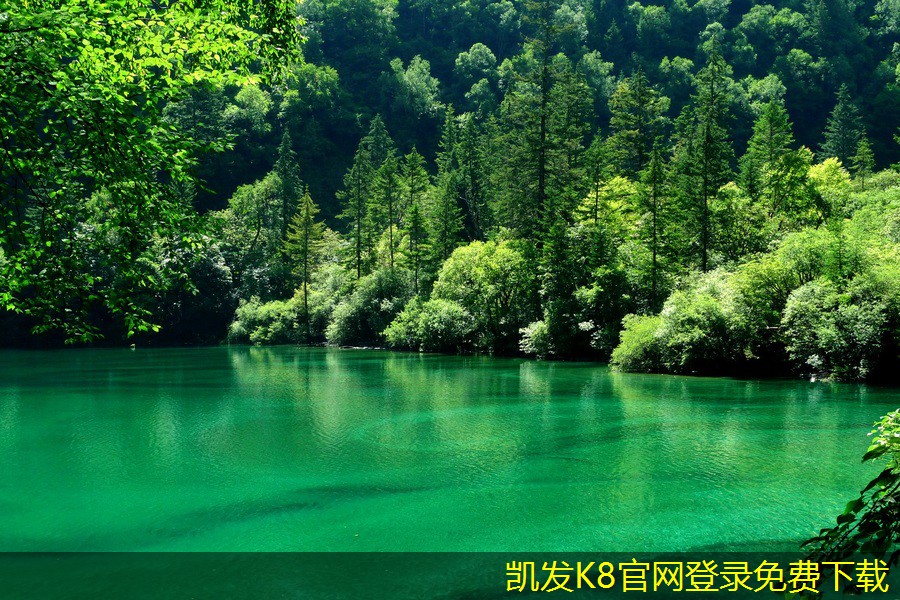 如何評(píng)估紅外報(bào)警系統(tǒng)的性能
