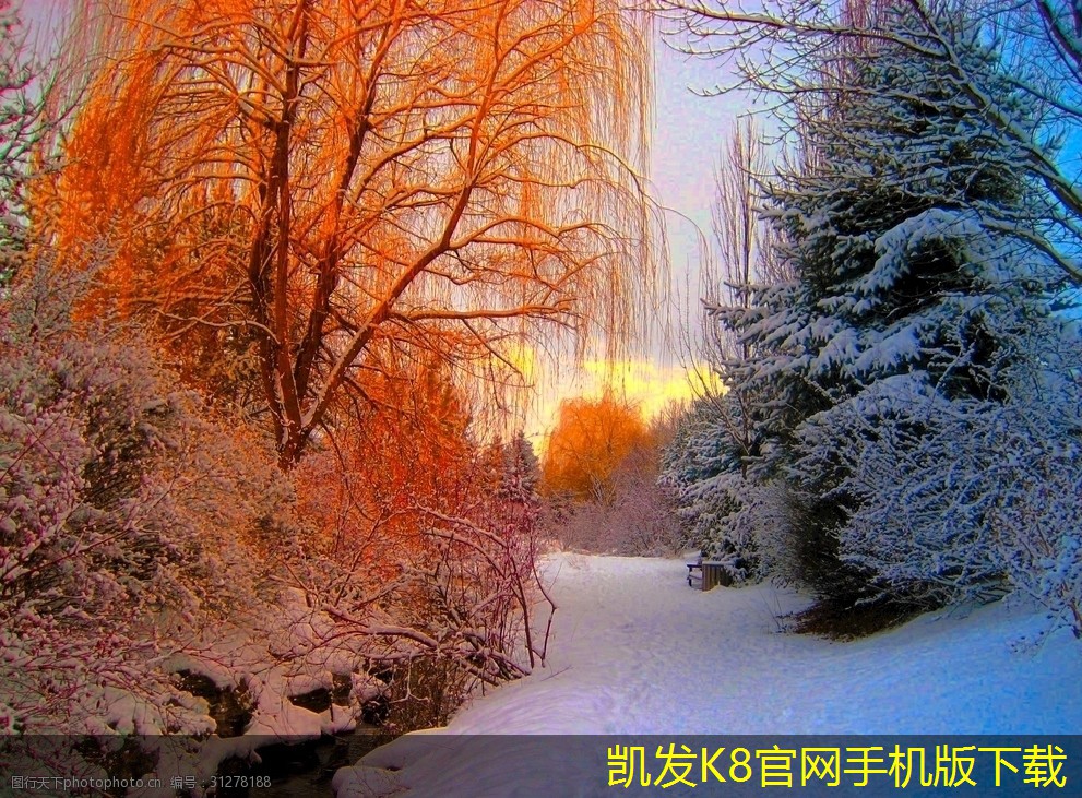 如何調(diào)試紅外報(bào)警器的靈敏度