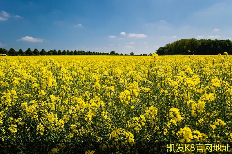 如何運(yùn)用背景音樂(lè)提升用戶(hù)體驗(yàn)
