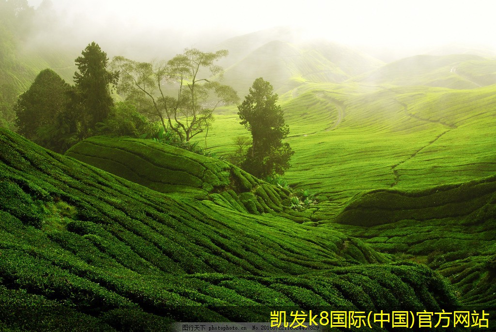 如何進(jìn)行安防監(jiān)控的培訓(xùn)與教育