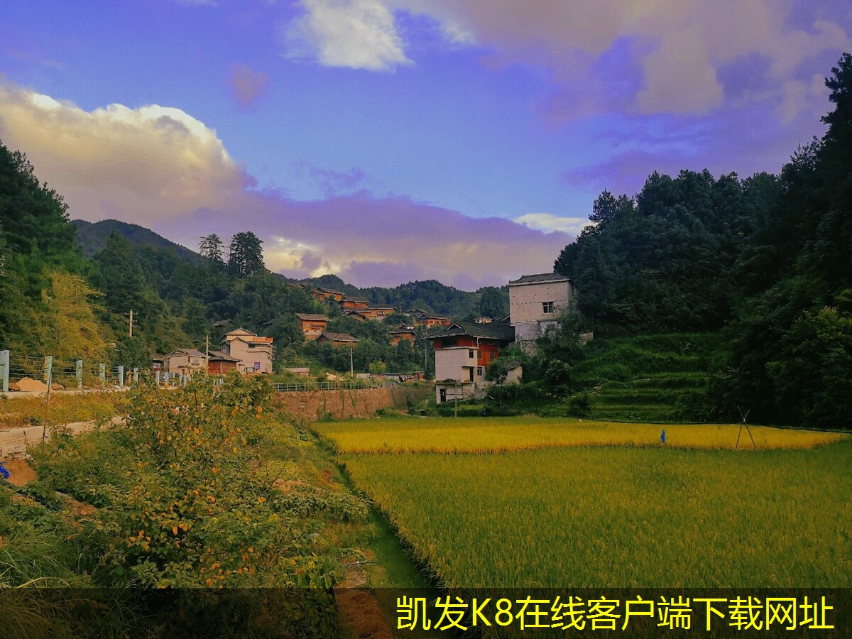 如何進(jìn)行機(jī)房建設(shè)的市場(chǎng)調(diào)研