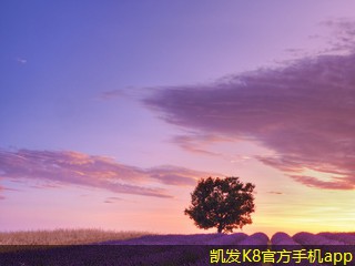 如何進(jìn)行網(wǎng)絡(luò)布線的市場(chǎng)調(diào)研