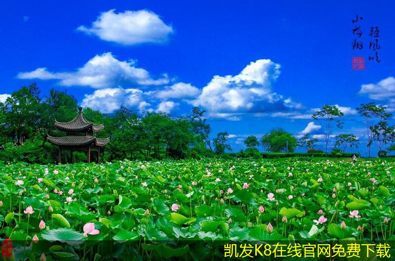 如何進行網(wǎng)絡(luò)布線的效果評估