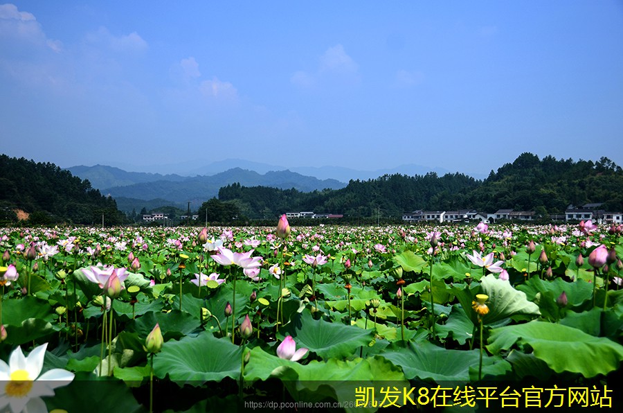 如何選擇網(wǎng)絡(luò)布線的合作伙伴