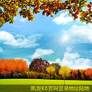 如何選擇網(wǎng)絡(luò)布線的架構(gòu)方式