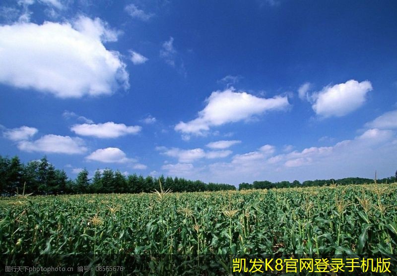 如何選擇適合您的可視對講設(shè)備