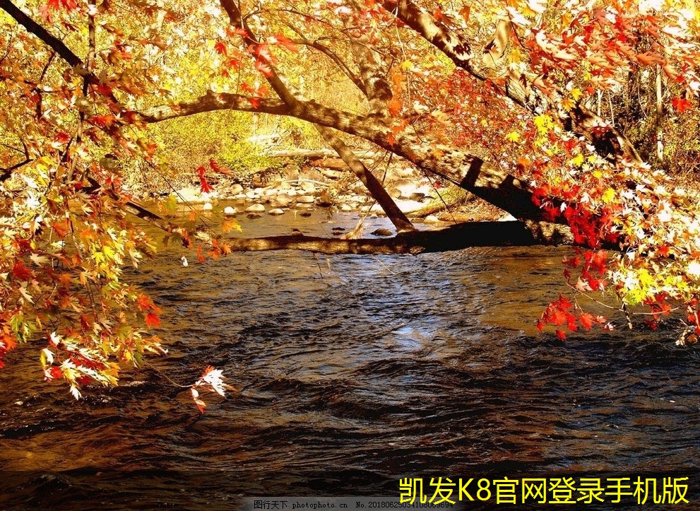 如何通過安防監(jiān)控提升企業(yè)形象