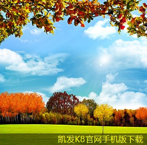 如何通過安防監(jiān)控提升反應(yīng)速度