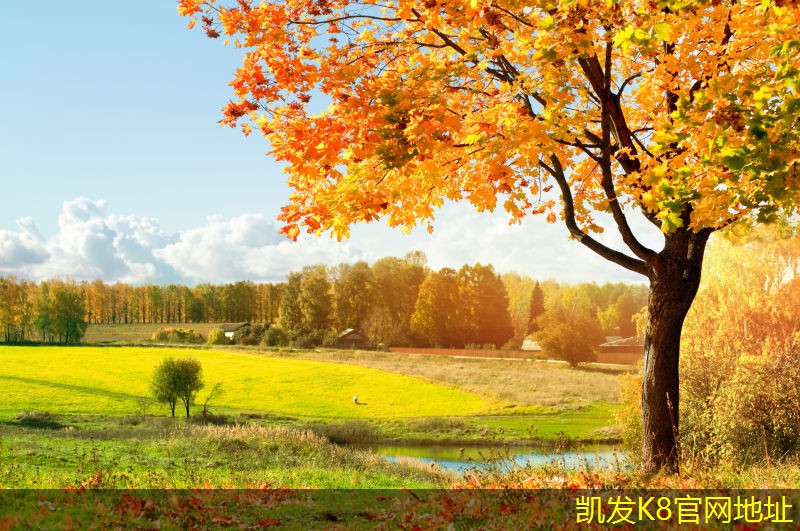 如何通過紅外報(bào)警提升個(gè)人安全意識