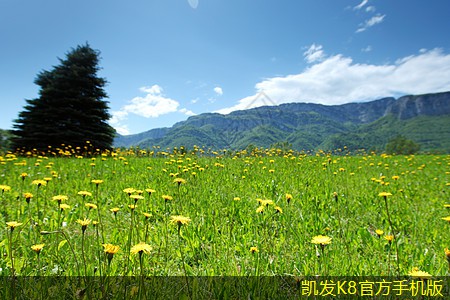 如何通過視頻會議實現(xiàn)工作生活平衡