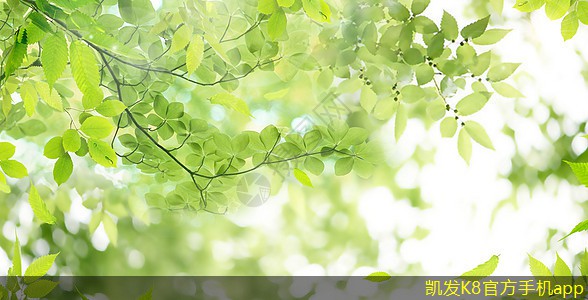 如何避免網(wǎng)絡(luò)布線的重復(fù)投資