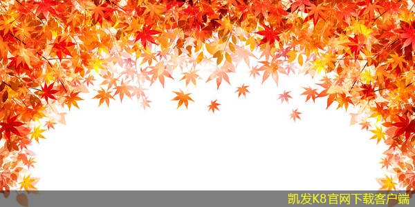 學校無線WIFI建設的挑戰(zhàn)與對策