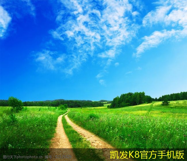 安防監(jiān)控與隱私保護的平衡