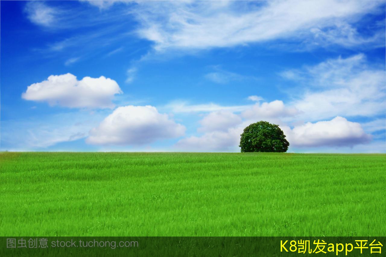 安防監(jiān)控在交通管理中的作用