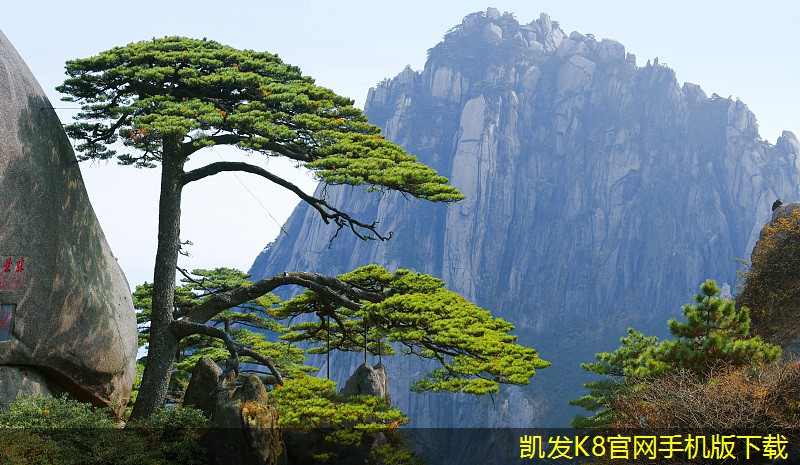 安防監(jiān)控在家庭安全中的重要性