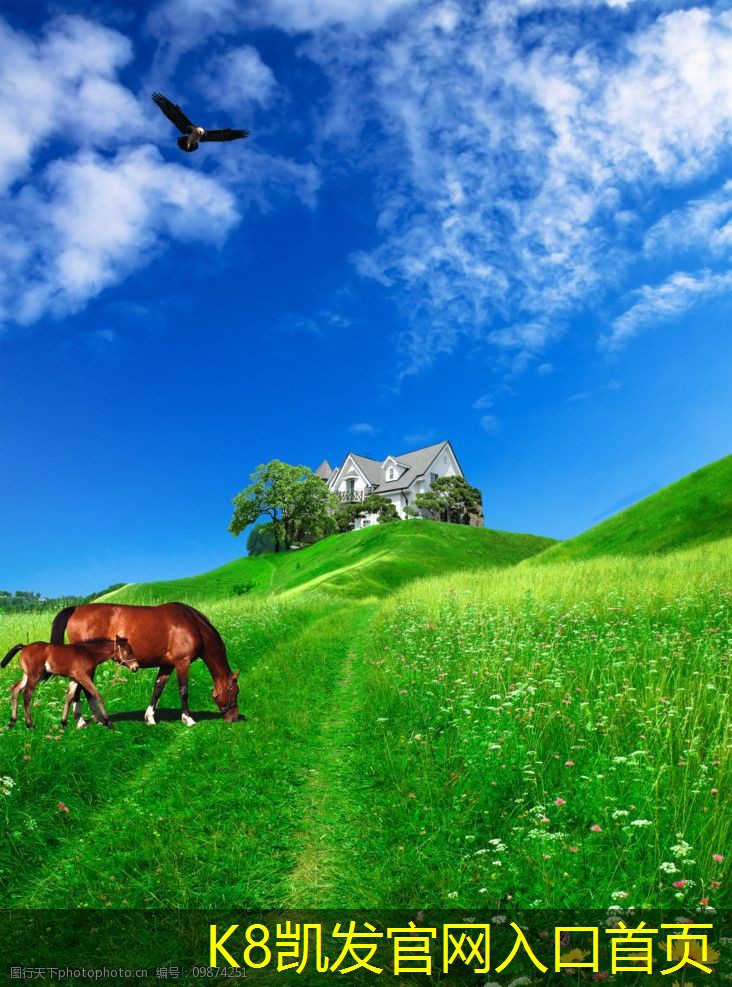 安防監(jiān)控在居住小區(qū)中的應用