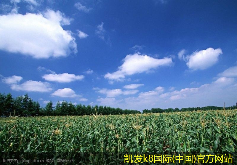 安防監(jiān)控在銀行業(yè)的應(yīng)用實(shí)例
