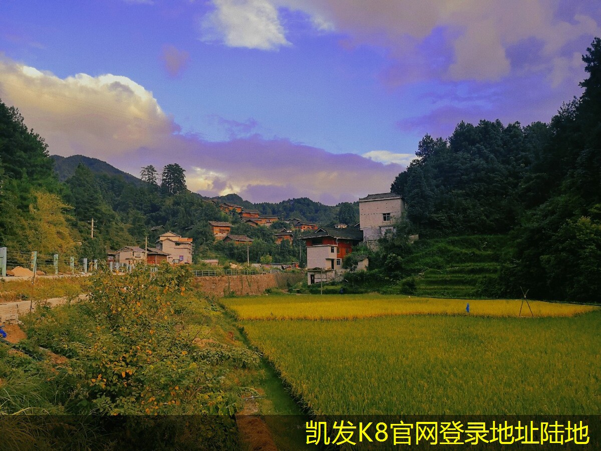 安防監(jiān)控技術(shù)在交通管理中的應(yīng)用