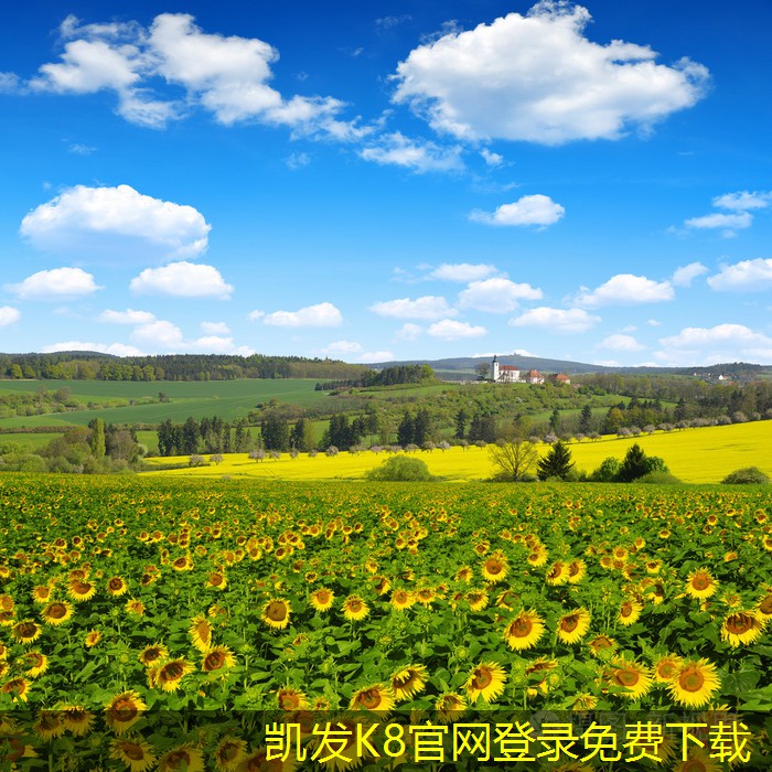 安防監(jiān)控系統(tǒng)的遠(yuǎn)程訪問技巧