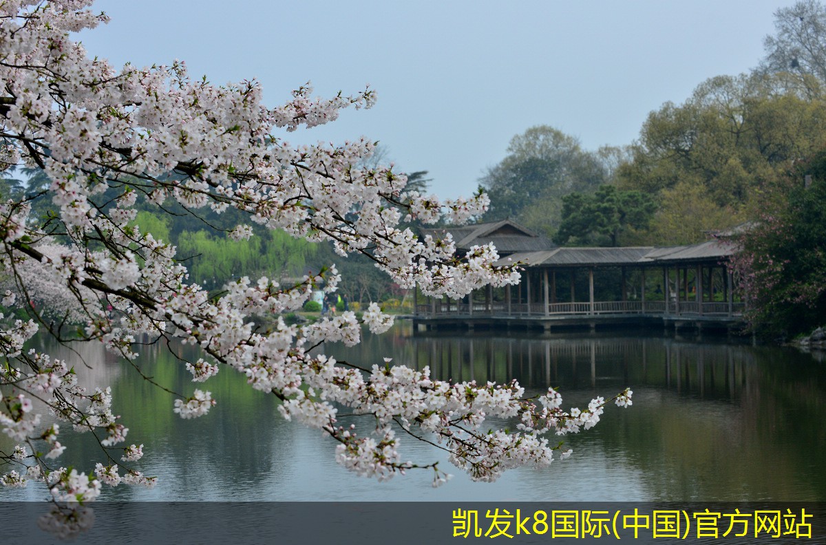 實(shí)現(xiàn)無縫視頻會(huì)議的網(wǎng)絡(luò)要求