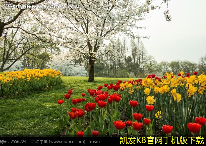 實現(xiàn)高效遠程協(xié)作的視頻會議指南